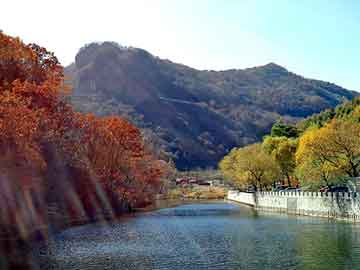 新澳天天开奖资料大全旅游团，黑鸽子